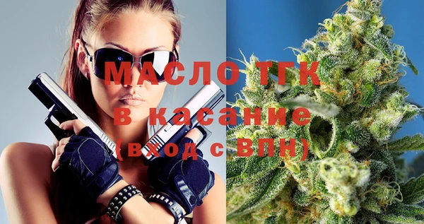 гашик Алексеевка
