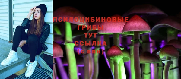 соль ск Алексин