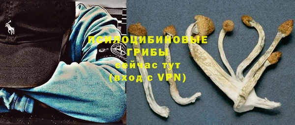 гашик Алексеевка