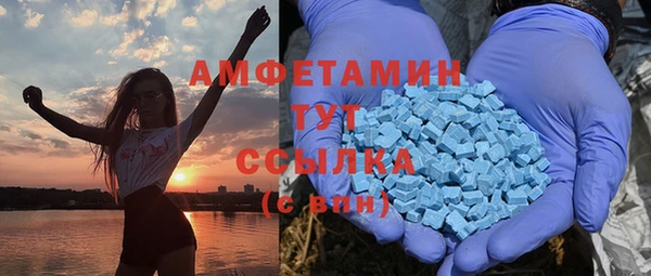 гашик Алексеевка
