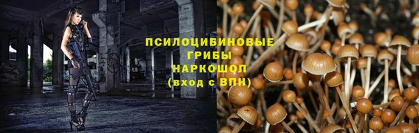 соль ск Алексин
