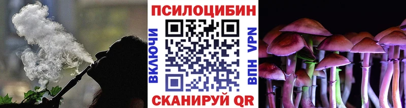 продажа наркотиков  Камызяк  это как зайти  Галлюциногенные грибы GOLDEN TEACHER 